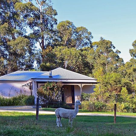 Araluen Park Cottages Lakes Entrance Kültér fotó