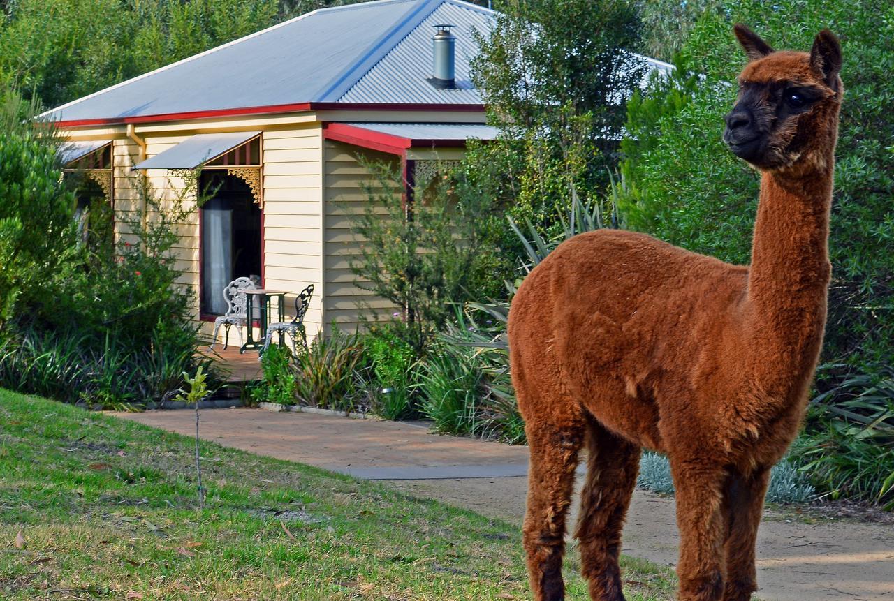 Araluen Park Cottages Lakes Entrance Kültér fotó