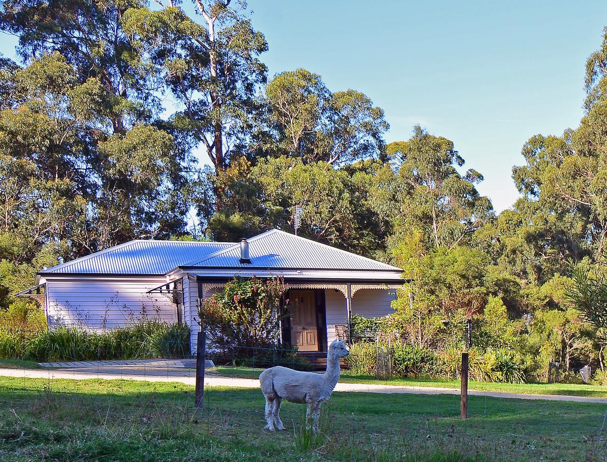 Araluen Park Cottages Lakes Entrance Kültér fotó