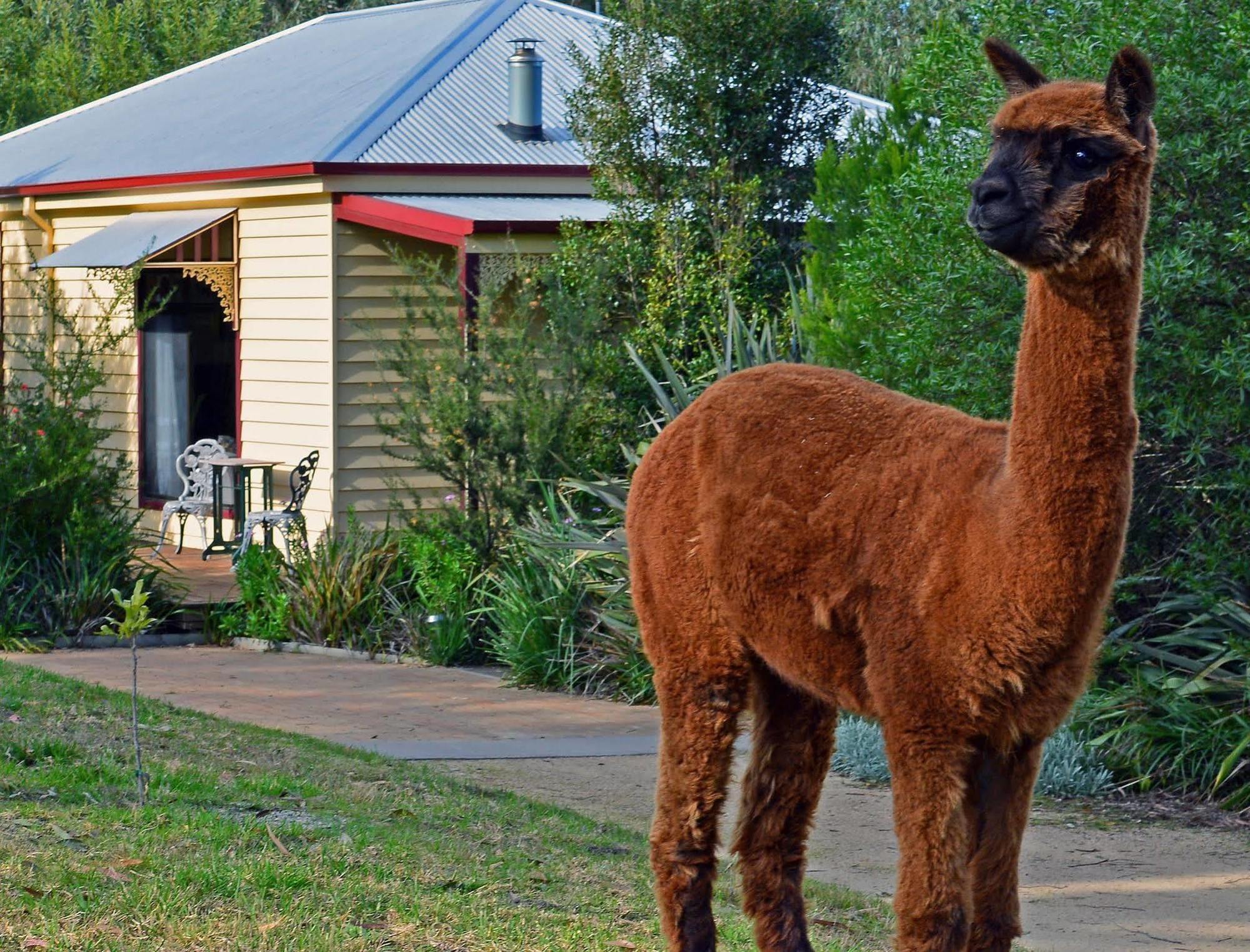 Araluen Park Cottages Lakes Entrance Kültér fotó